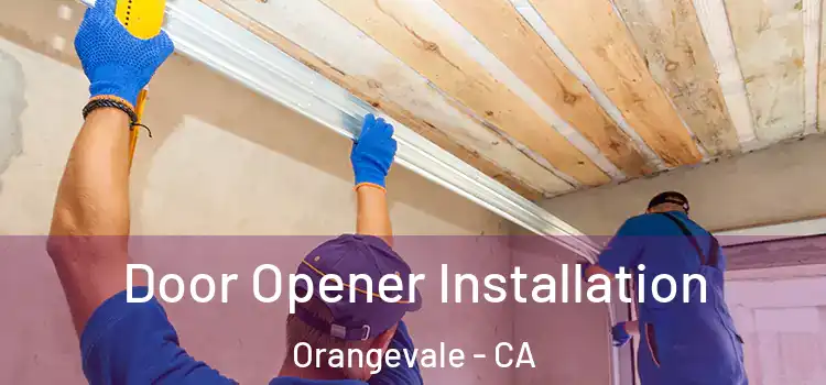  Door Opener Installation Orangevale - CA