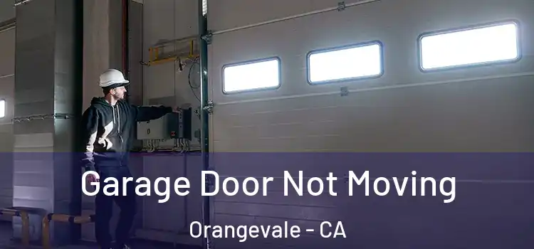  Garage Door Not Moving Orangevale - CA