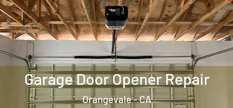  Garage Door Opener Repair Orangevale - CA