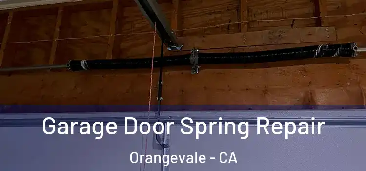  Garage Door Spring Repair Orangevale - CA