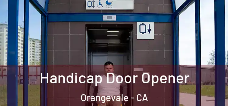  Handicap Door Opener Orangevale - CA