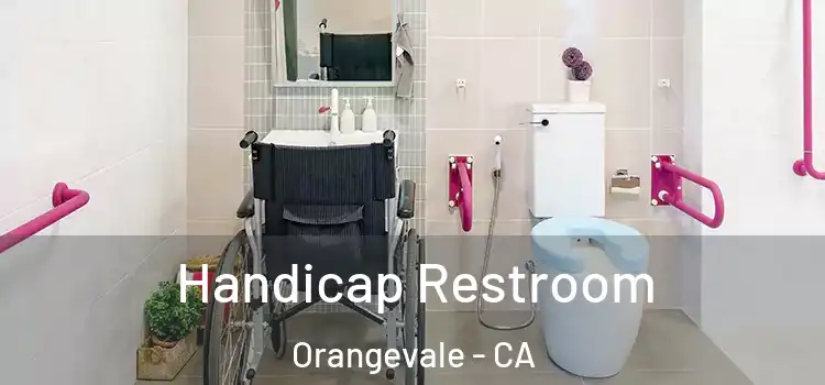 Handicap Restroom Orangevale - CA