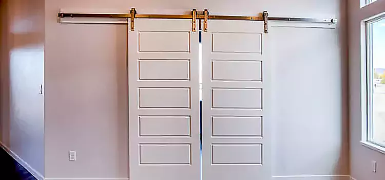 Glass Barn Door with Installation Hardware Kit Orangevale