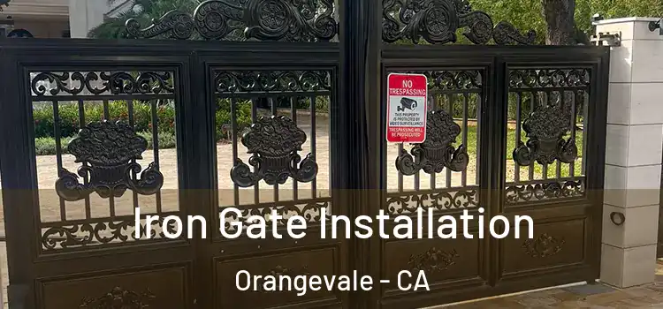  Iron Gate Installation Orangevale - CA