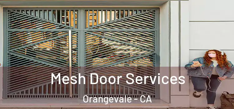  Mesh Door Services Orangevale - CA